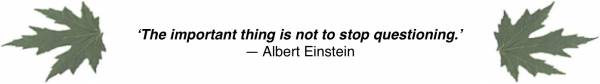 ‘The important thing is not to stop questioning.’ —Albert Einstein
