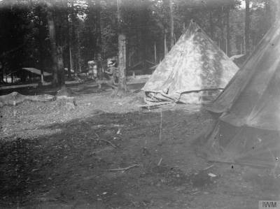 Camp britannique dans le bois d’Acheux [Nelson Battalion Camp in Acheux Wood. R. N. (63rd) Division.] © IWM Q 14762