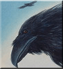 Lire l'article Les corbeaux dans le légendaire