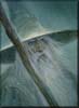 Gandalf le Gris (© John Howe)